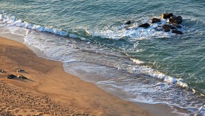 Playa