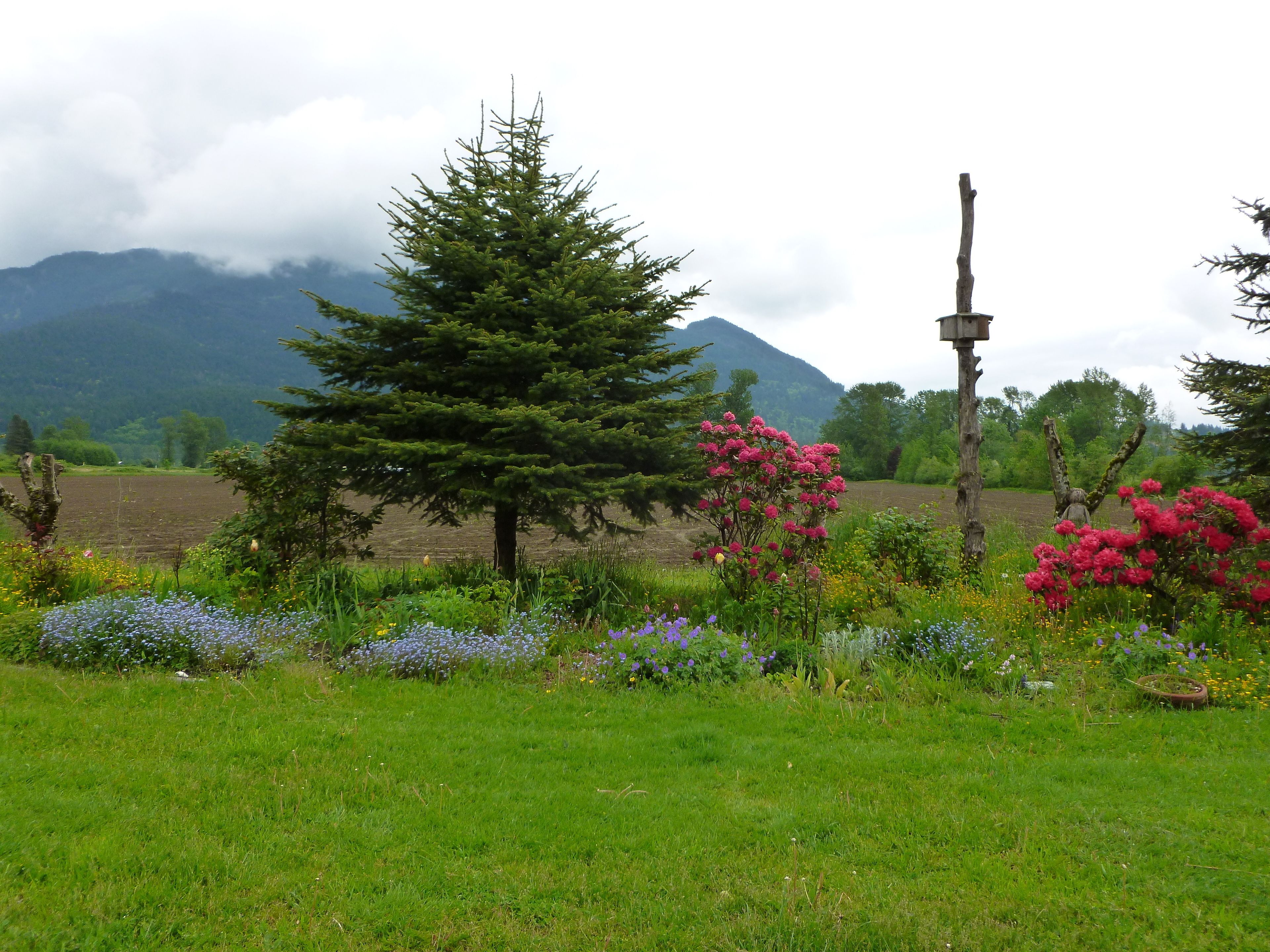 Jardín