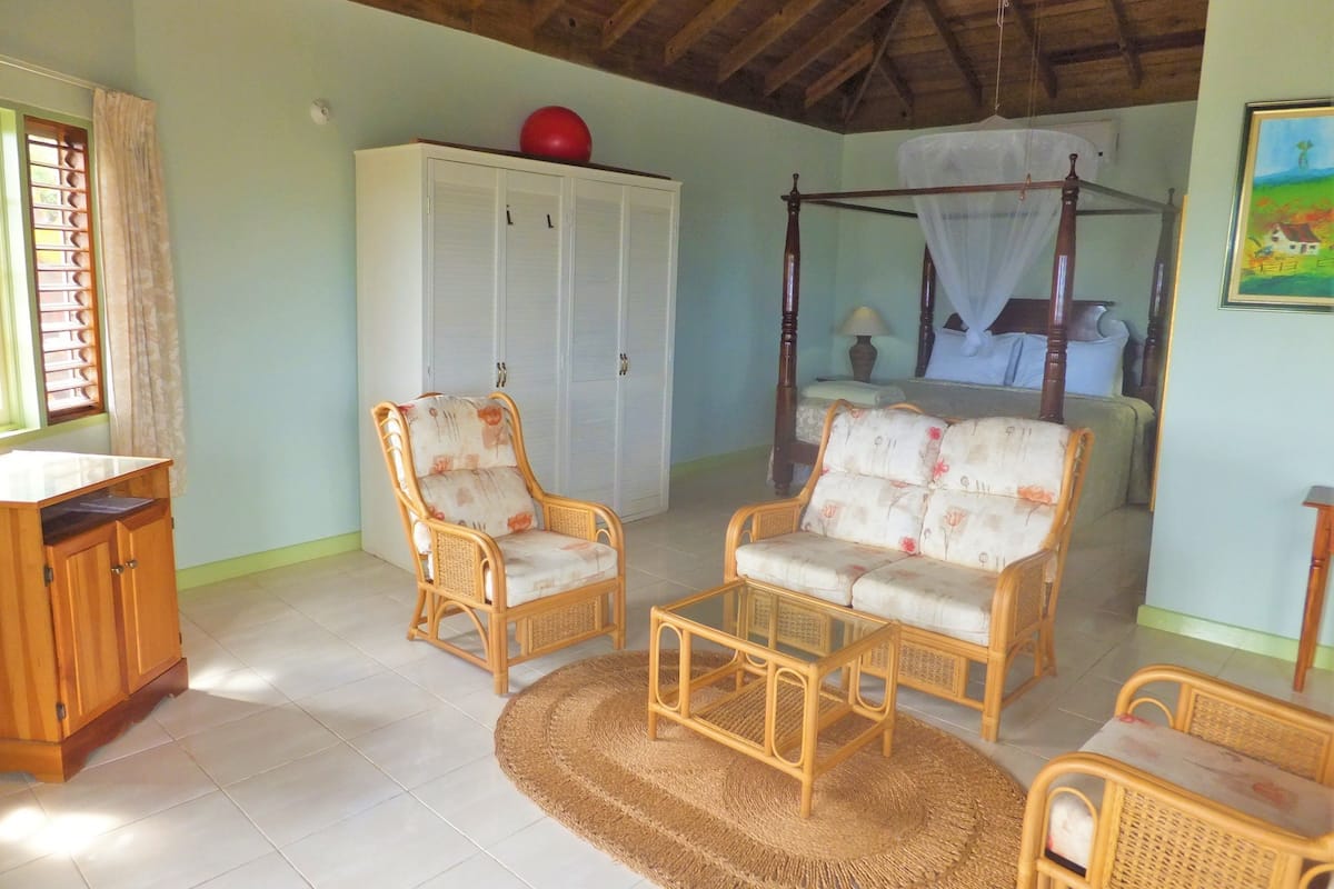 superior room, 1 king bed, terrace, garden view | 1 bedroom, desk, soundproofing, iron/ironing board