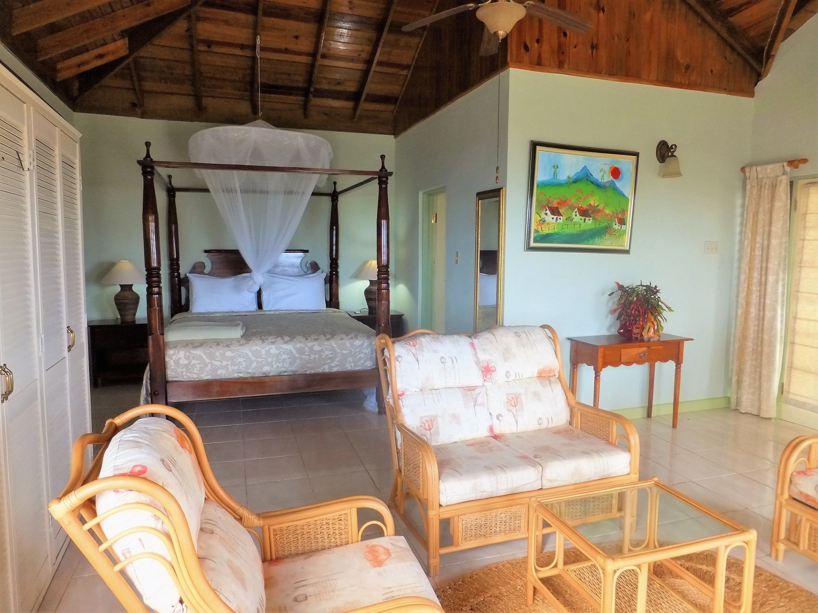 superior room, 1 king bed, terrace, garden view | living area