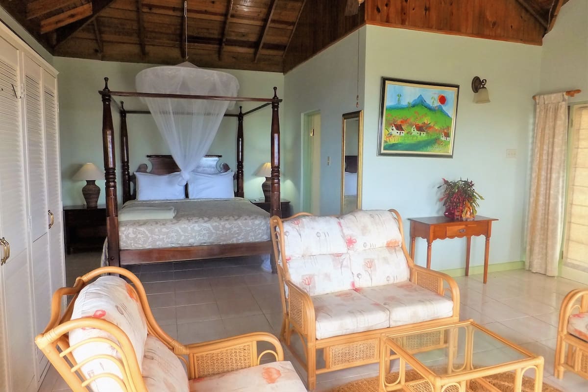 superior room, 1 king bed, terrace, garden view | living area