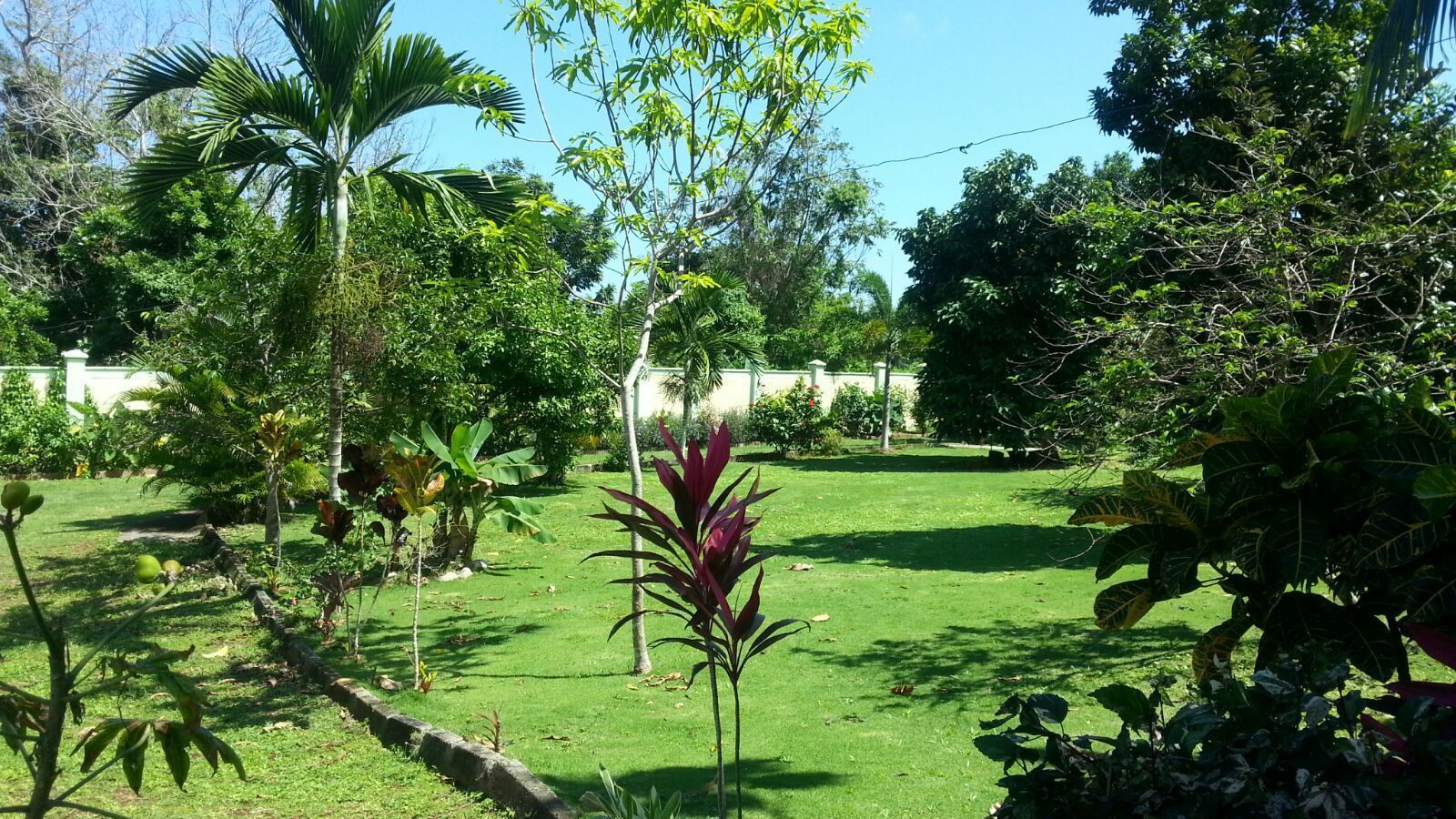 garden