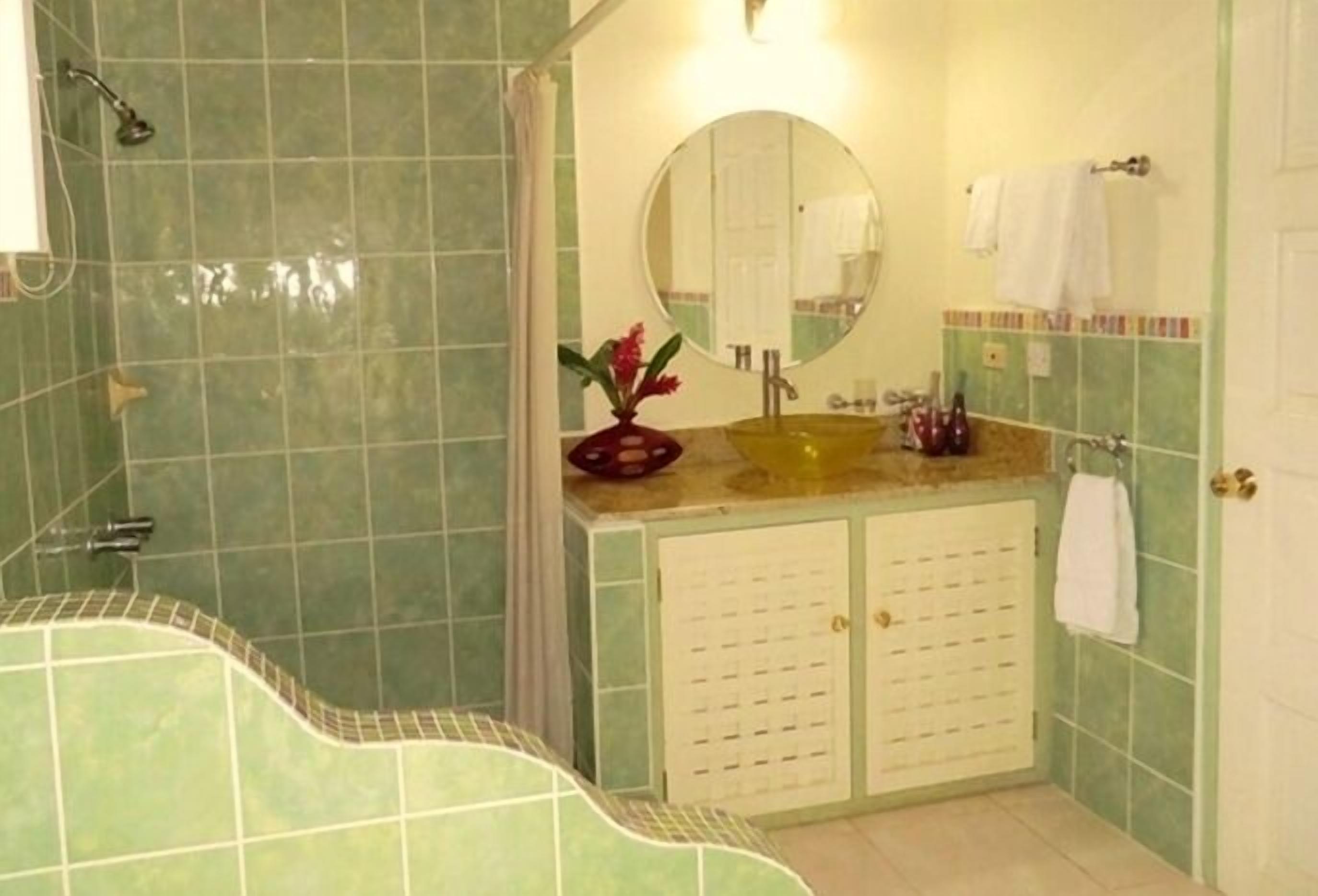 superior room, 1 king bed, terrace, garden view | bathroom | shower, free toiletries, hair dryer, towels