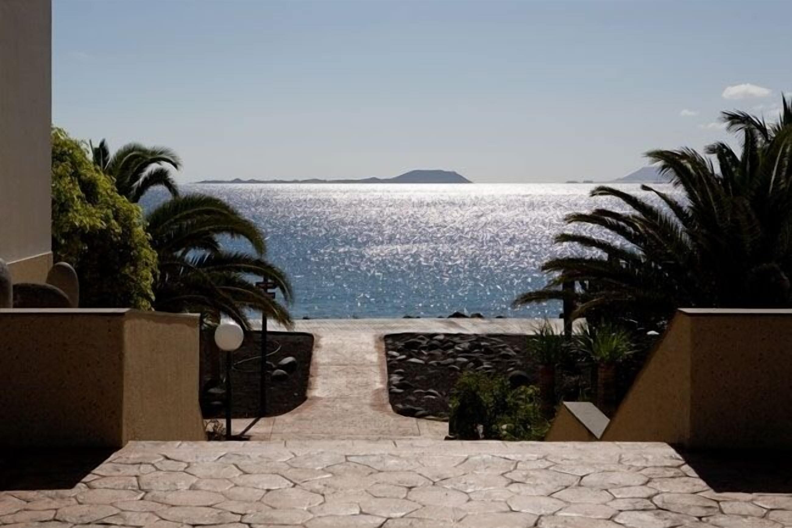 Vista desde un balcón con una playa, palmeras y cielo despejado.