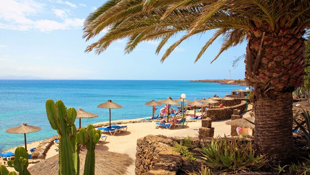 A beach with thatched umbrellas, sun loungers, and a palm tree. - Monéa Royal Mónica (Yaiza)