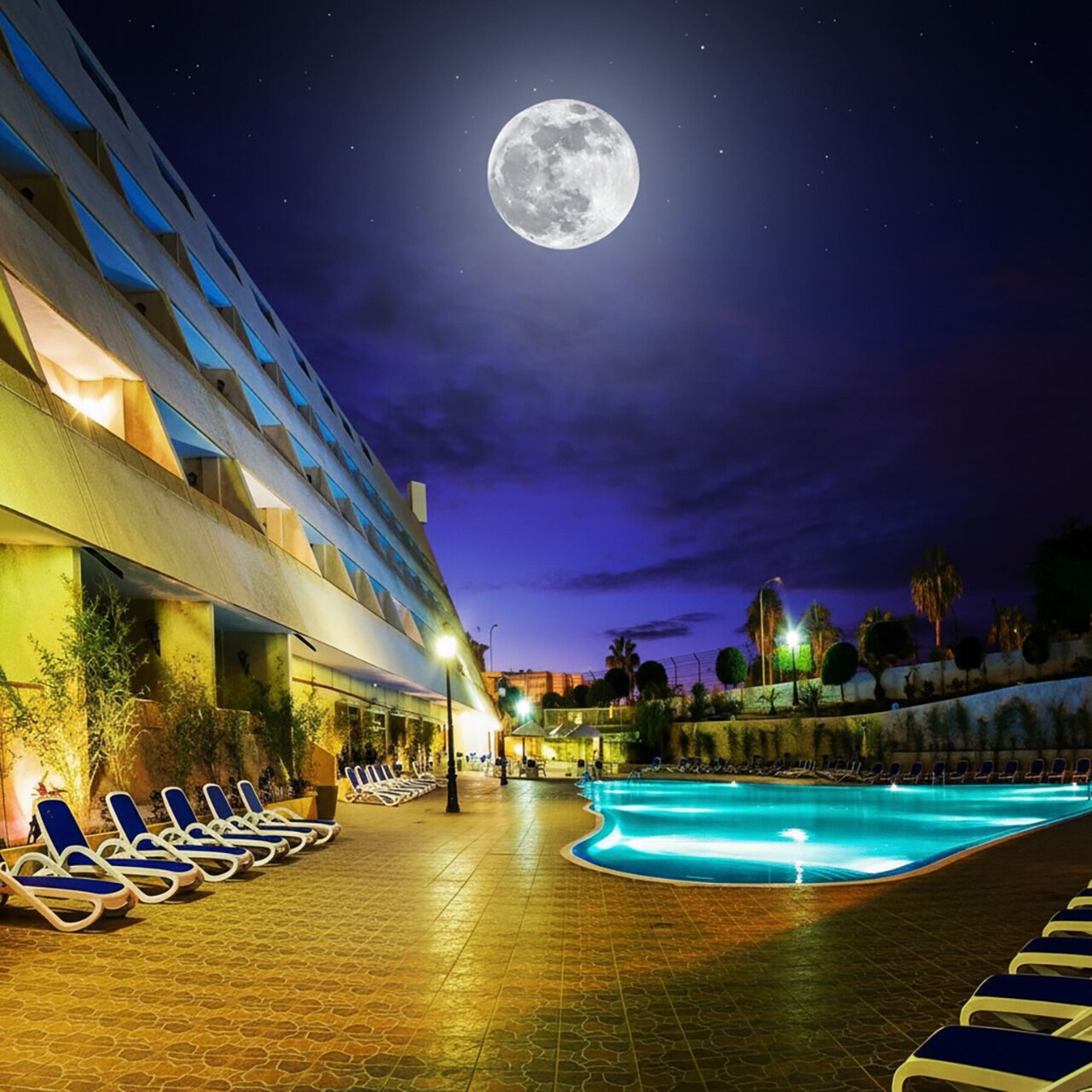 Outdoor pool, pool loungers