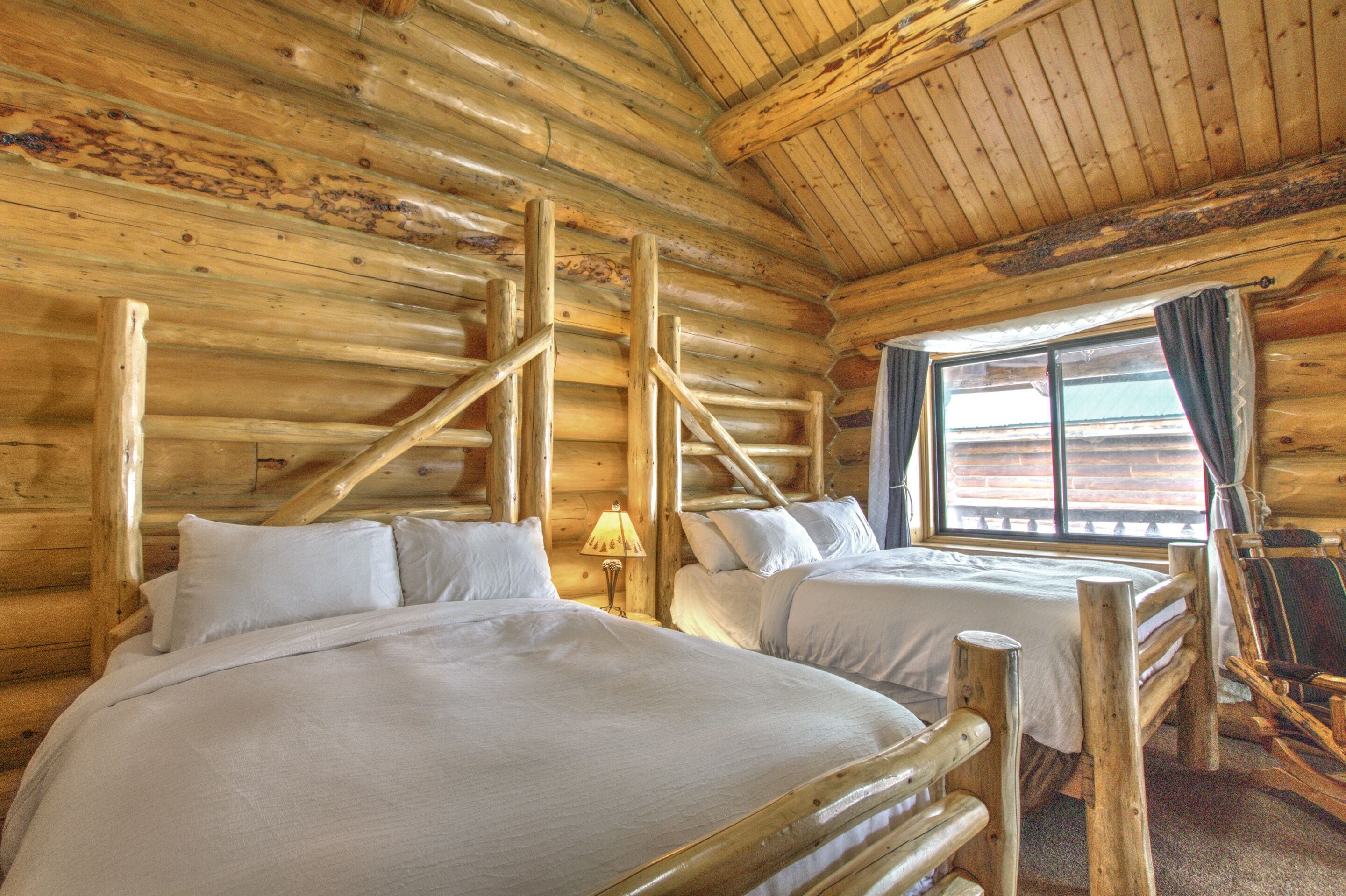 Foto - Hibernation Station