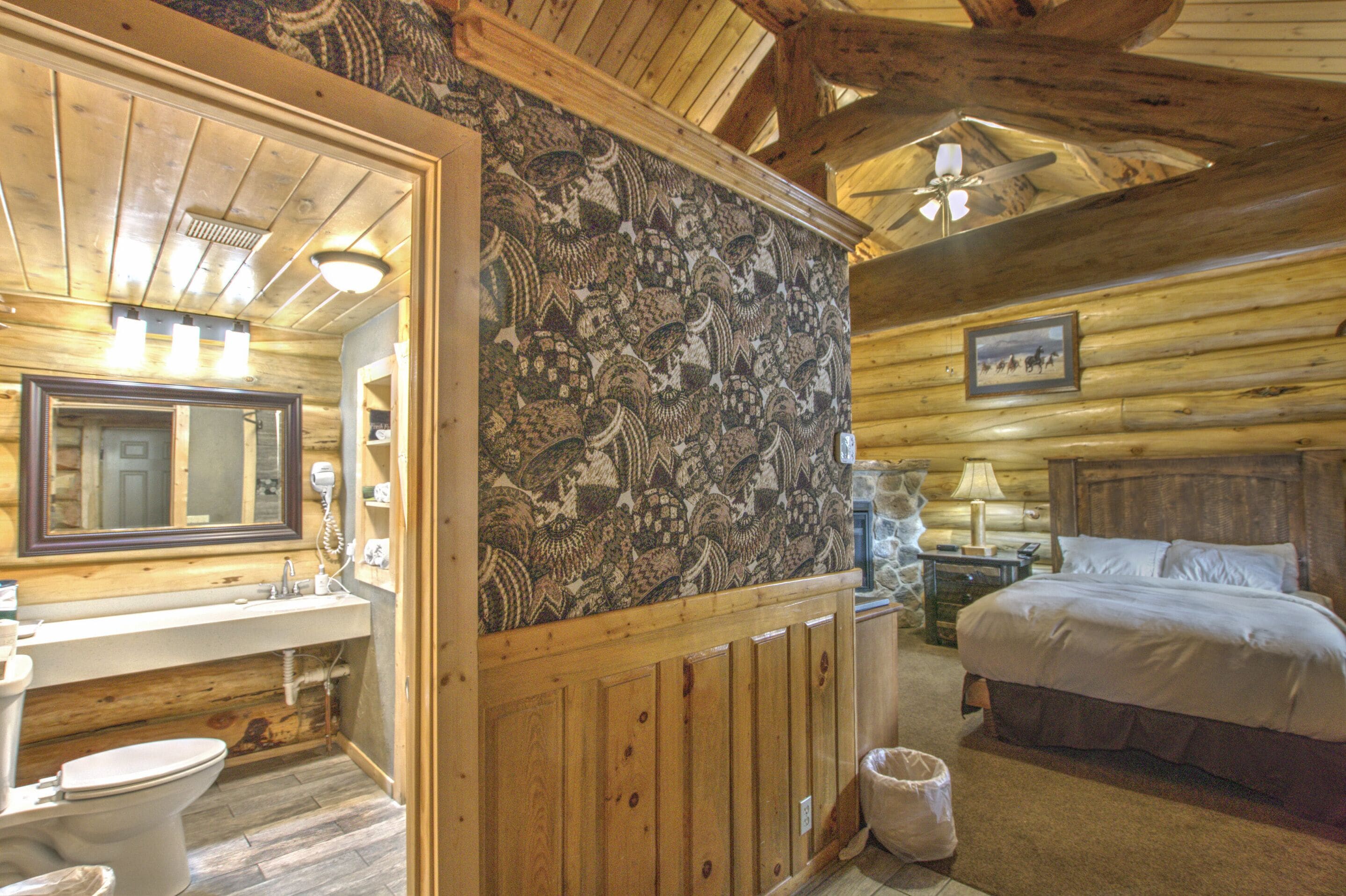 Photo - Hibernation Station