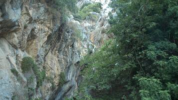 Une falaise rocheuse couverte d’une végétation dense.