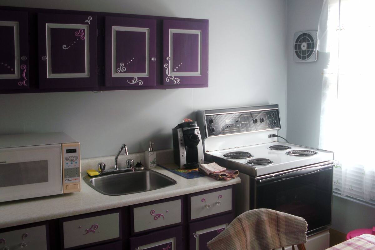 Standard Room, 1 Double Bed, Kitchenette | Private kitchen