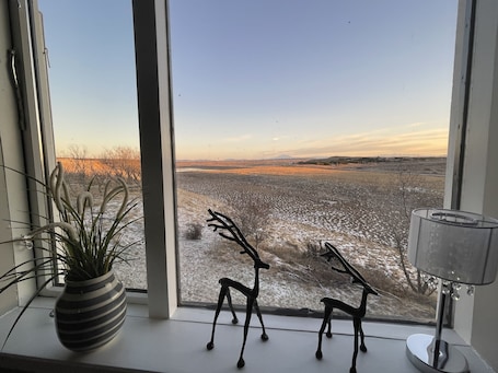 Vista desde la propiedad