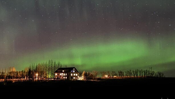 Uma casa com estrutura visível, cercada por árvores e um céu noturno claro.