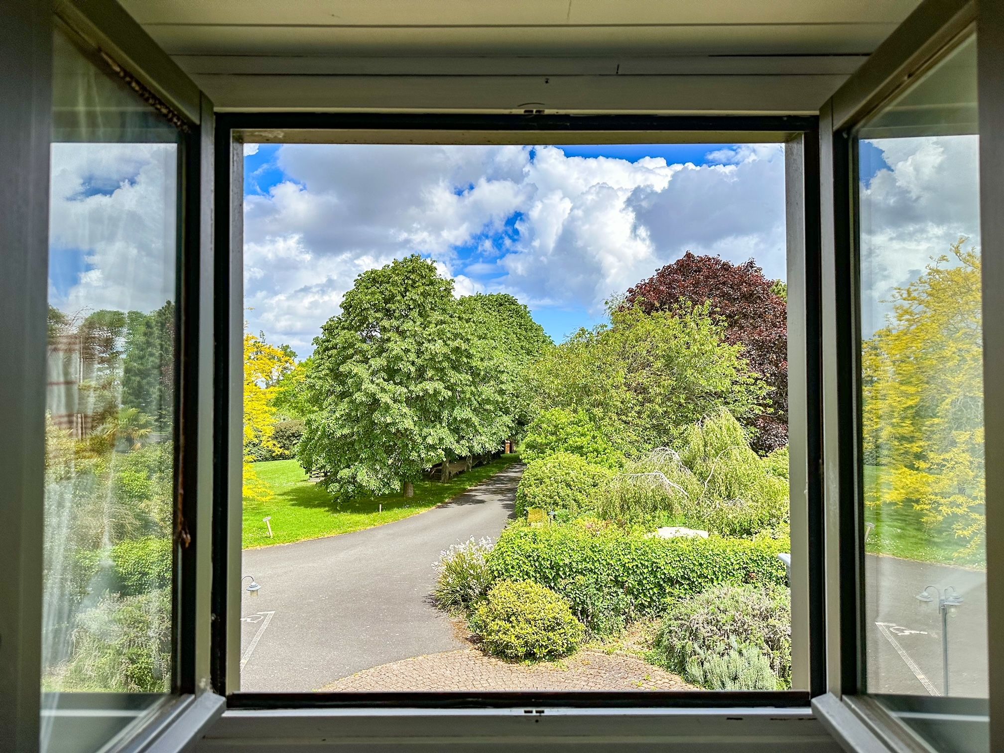 A view through a window with a paved path leading to a tree-lined area.
