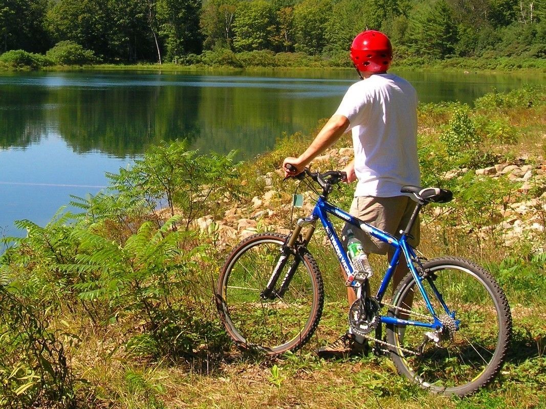 A person standing next to a blue mountain bike near a lake with greenery and trees in the background.