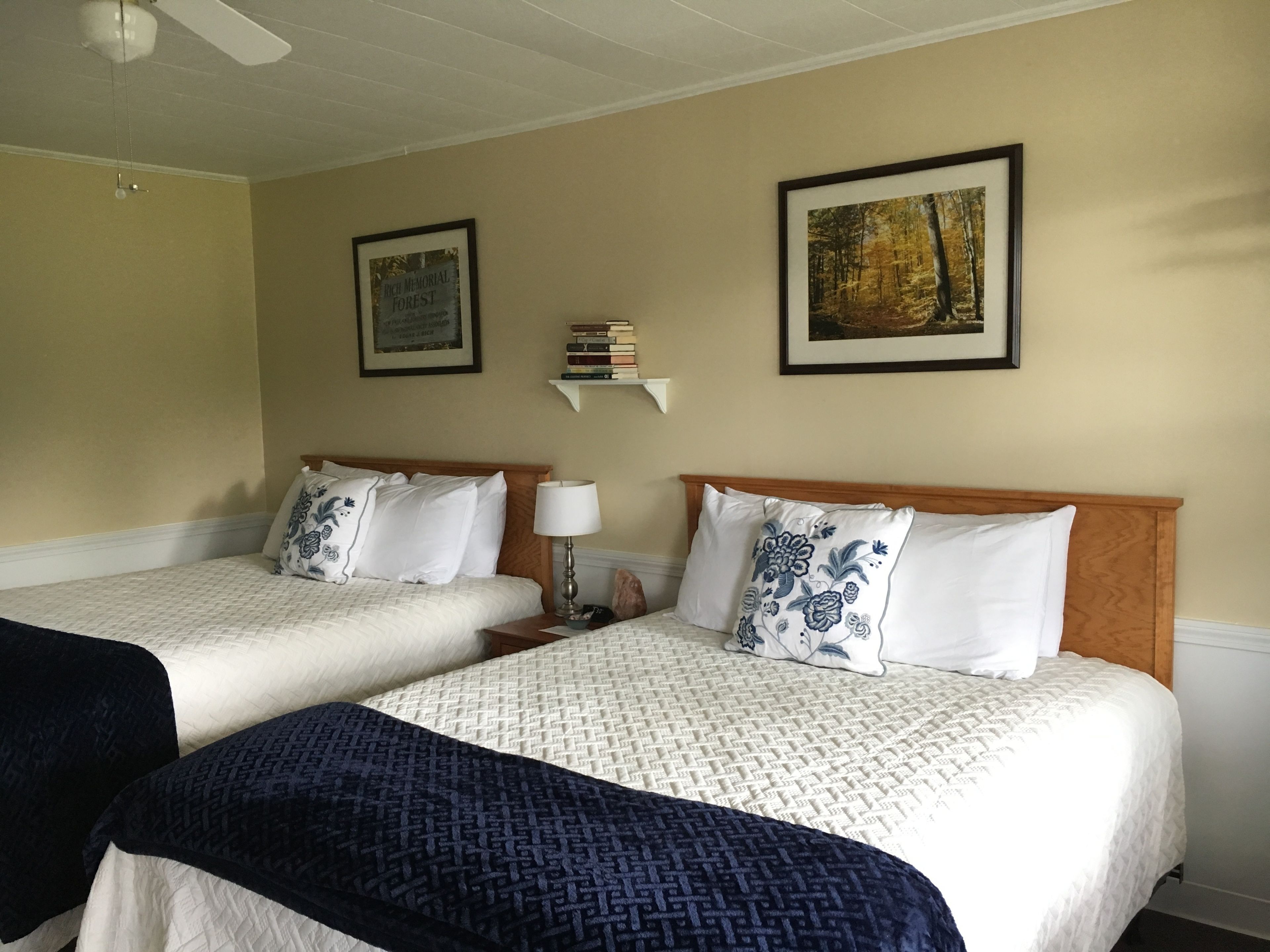 A hotel room with two beds, a ceiling fan, a framed picture of a forest, and a shelf with books.