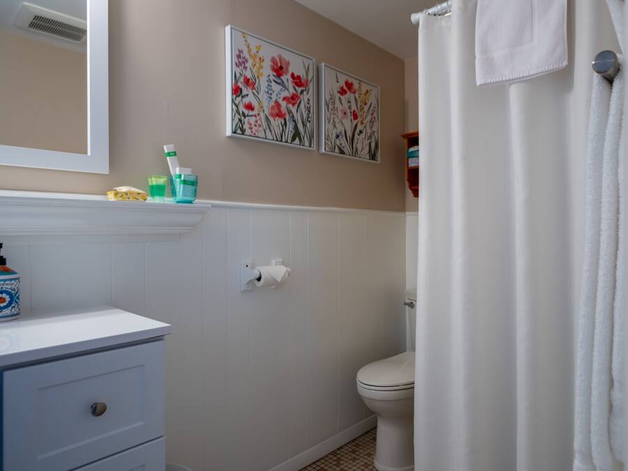 A bathroom with a toilet, a sink with a mirror, and two floral wall art pieces.