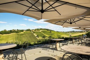 Tasting room - Palazzo di Varignana Resort & SPA (Castel San Pietro Terme)
