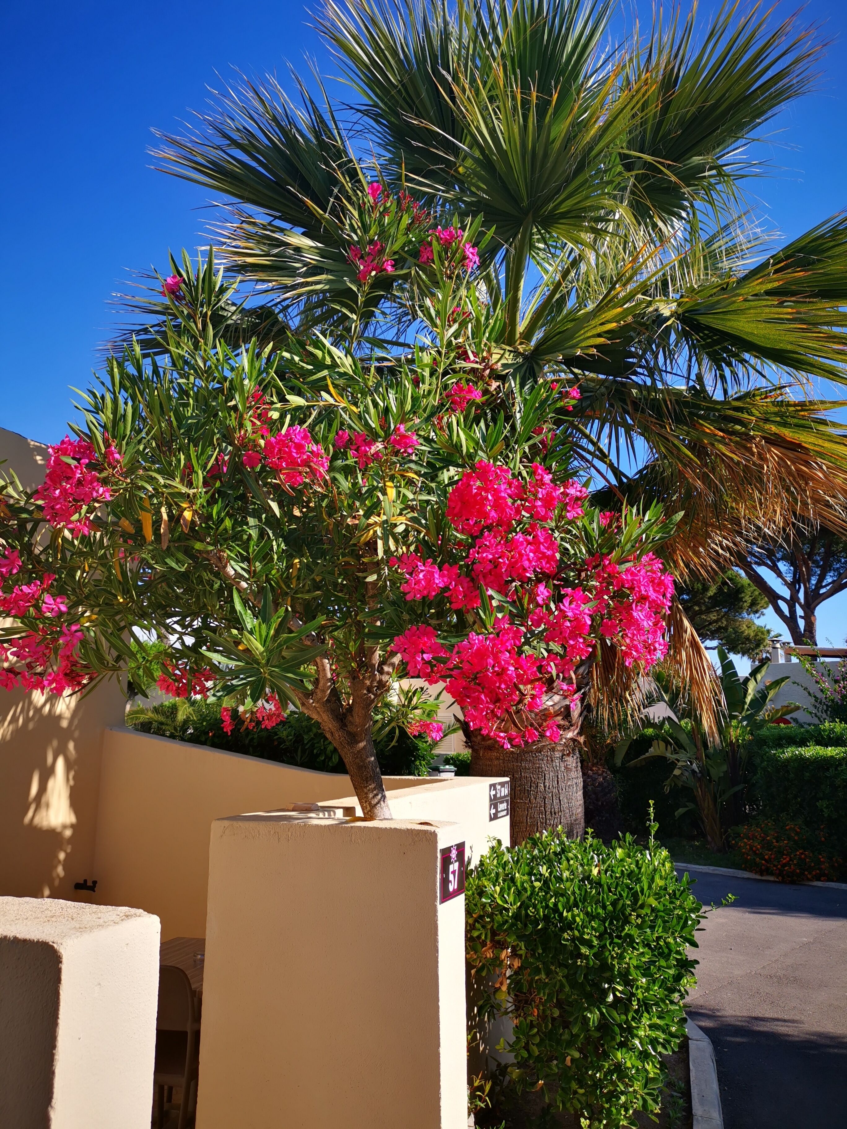 Classic Double Room, Terrace | Terrace/patio