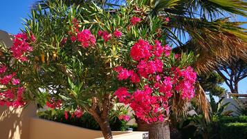 Classic Double Room, Terrace | Terrace/patio