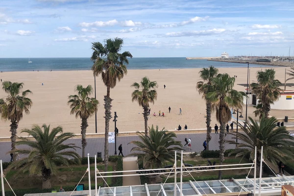 Ein Strand mit Palmen und blauem Himmel.