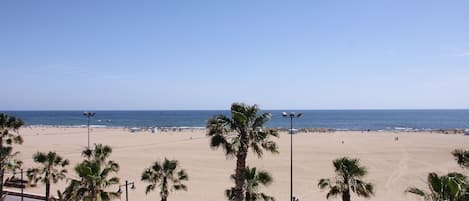 Una playa cerca, 14 bares en la playa