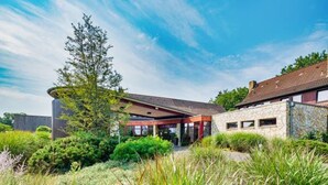 Ein modernes Haus mit Steinfassade, ein großer Baum im Vordergrund und ein strahlend blauer Himmel.