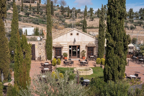 Bar (en la propiedad)