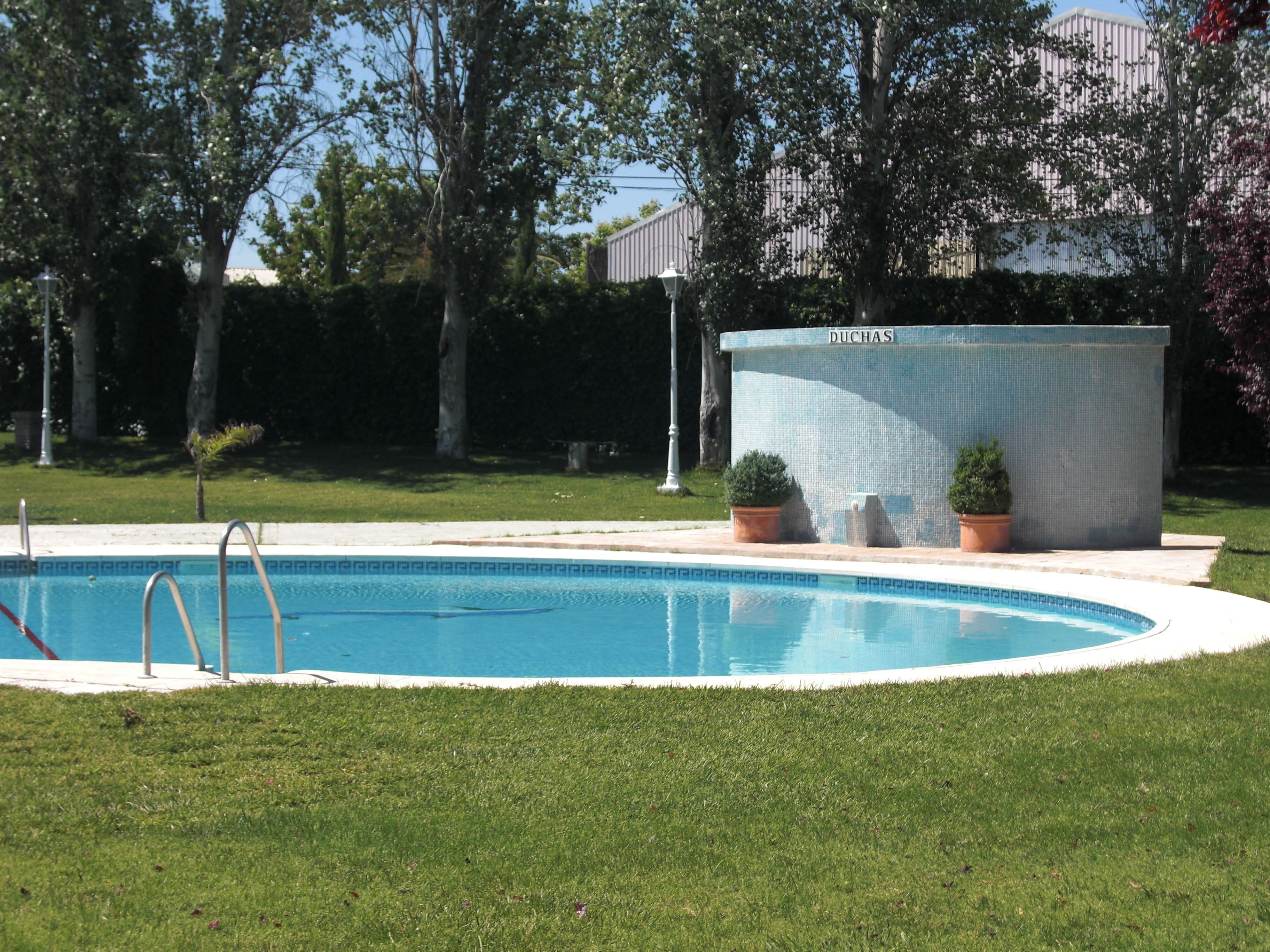 A swimming pool with a clear blue water surface, surrounded by a well-maintained lawn and trees.