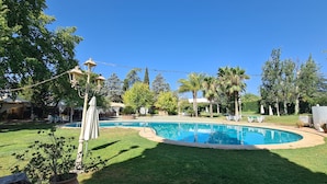 A backyard with a swimming pool, surrounded by well-maintained grass and trees.