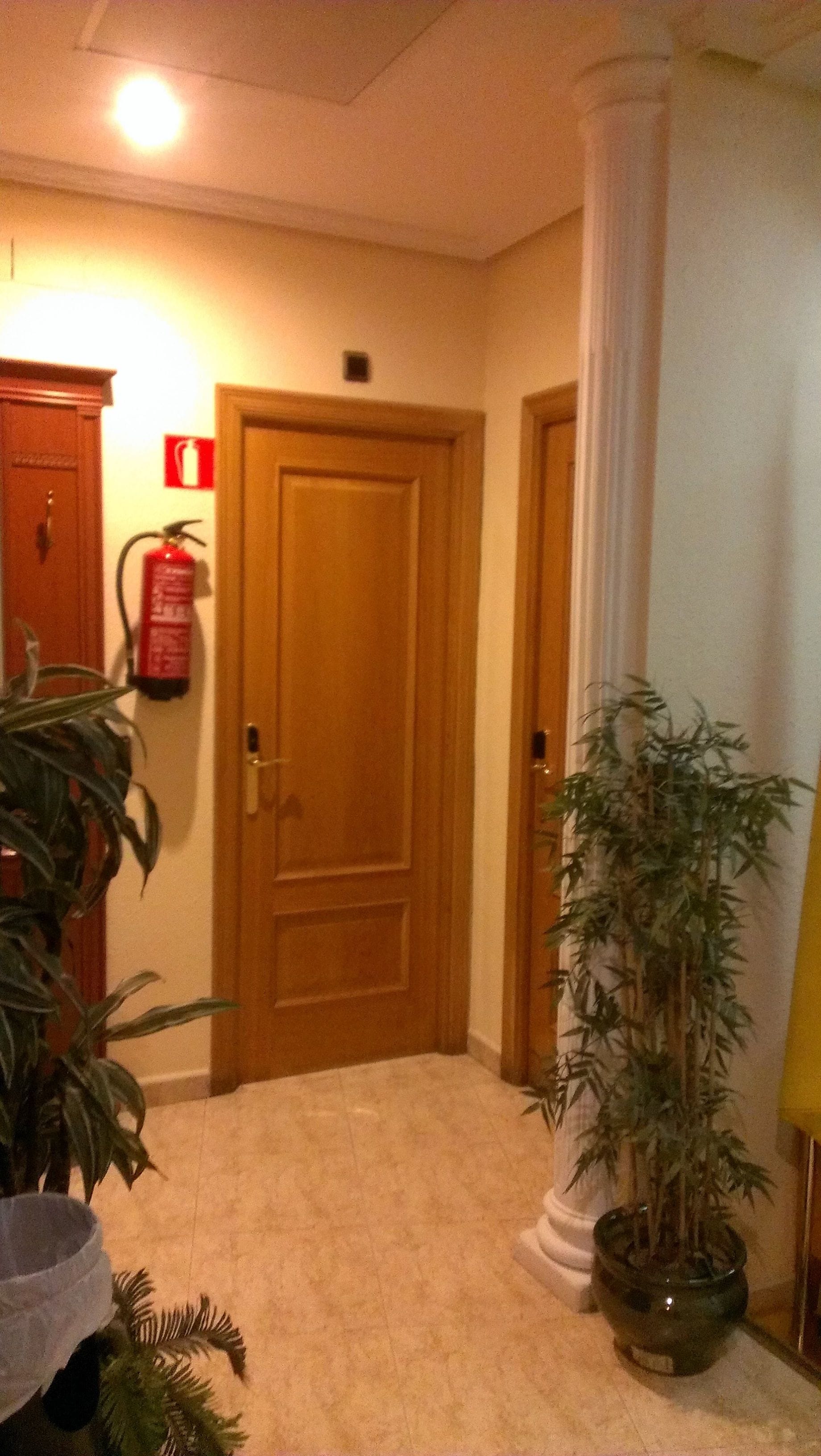 A hallway with a wooden door, a fire extinguisher, and a potted plant.