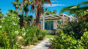 A tropical garden with a pathway leading to a modern house with large windows and a covered patio. -  Alannia Costa Blanca Resort (Crevillente)
