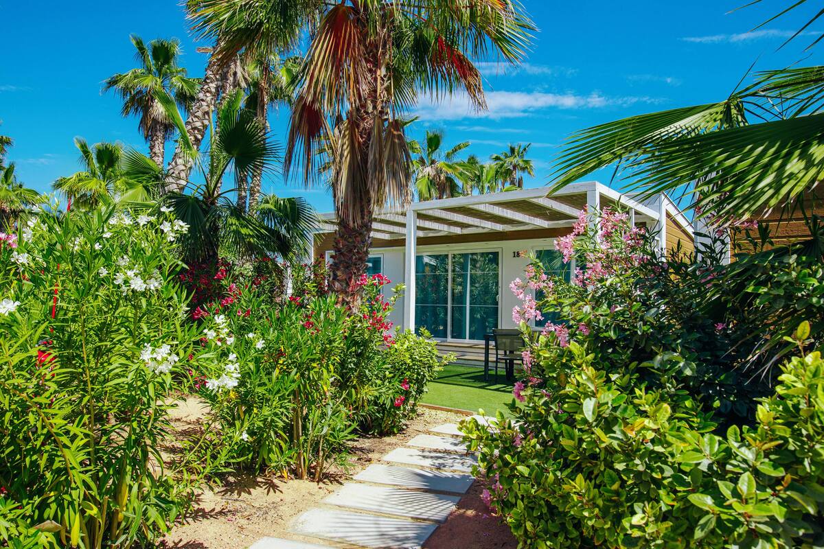 A tropical garden with a pathway leading to a modern house with large windows and a covered patio.