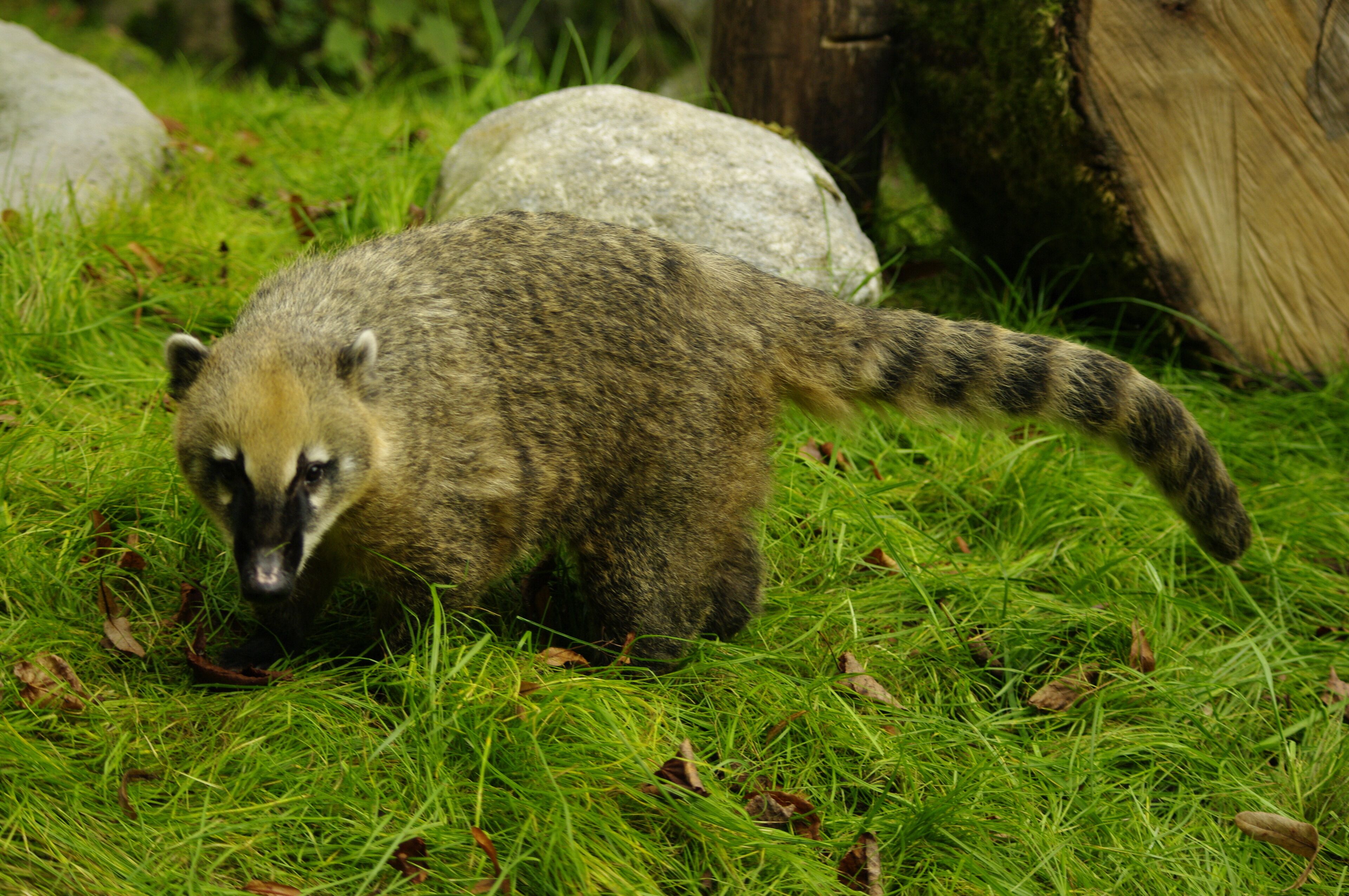 children’s activities