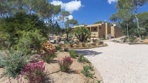 A modern building with a gravel driveway, surrounded by various plants and trees. - Ses Eufabietes Apartments & Restaurant (Formentera)