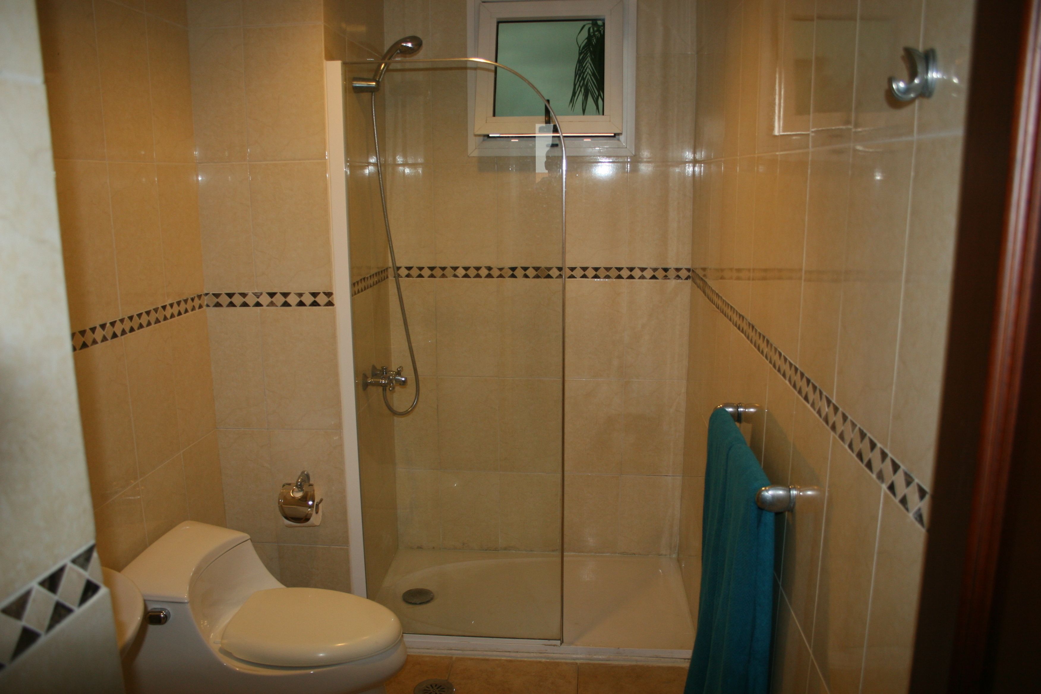 A bathroom with a toilet, a glass-enclosed shower, and a towel rack.