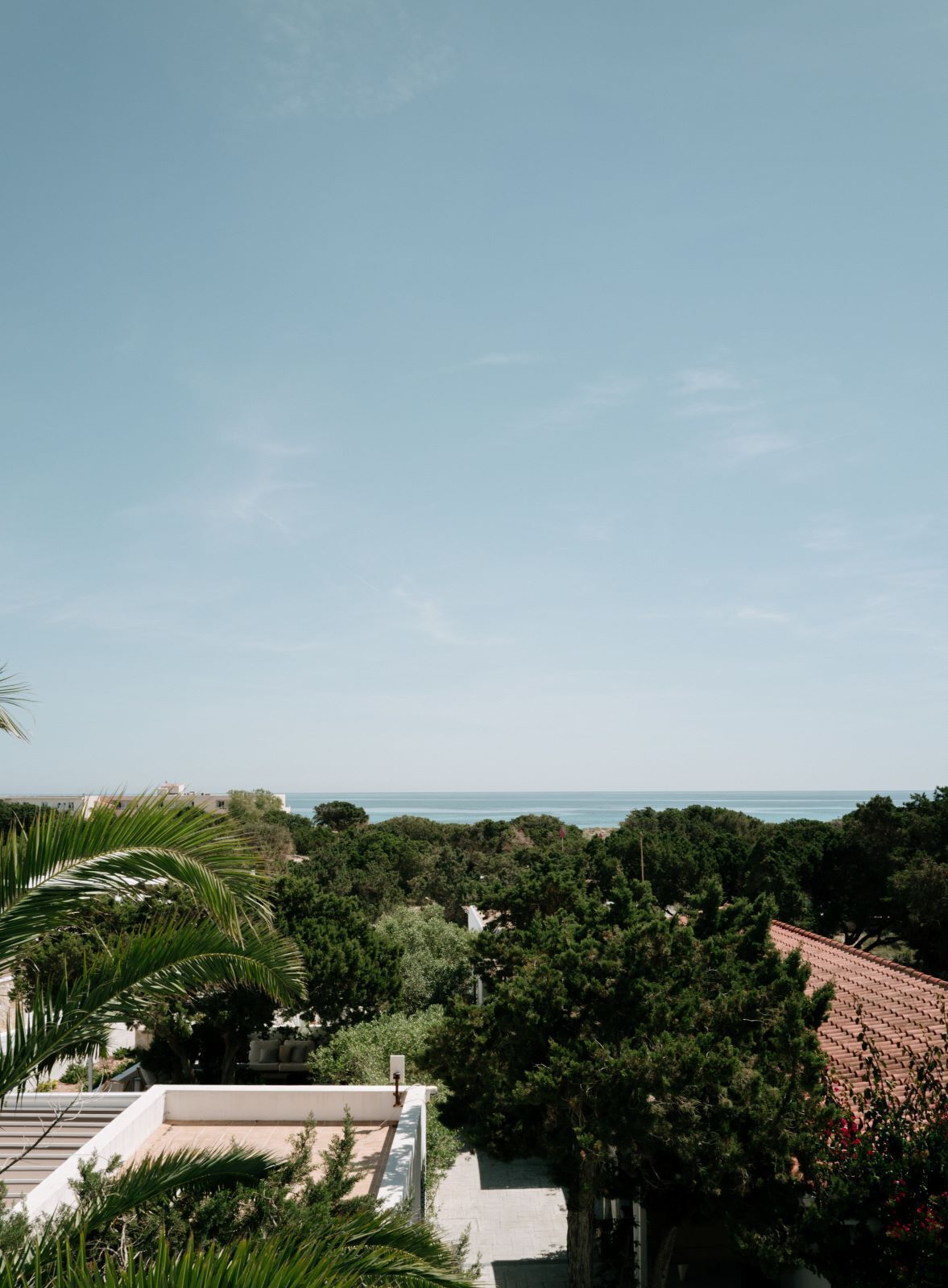 Foto - Hotel Rosamar