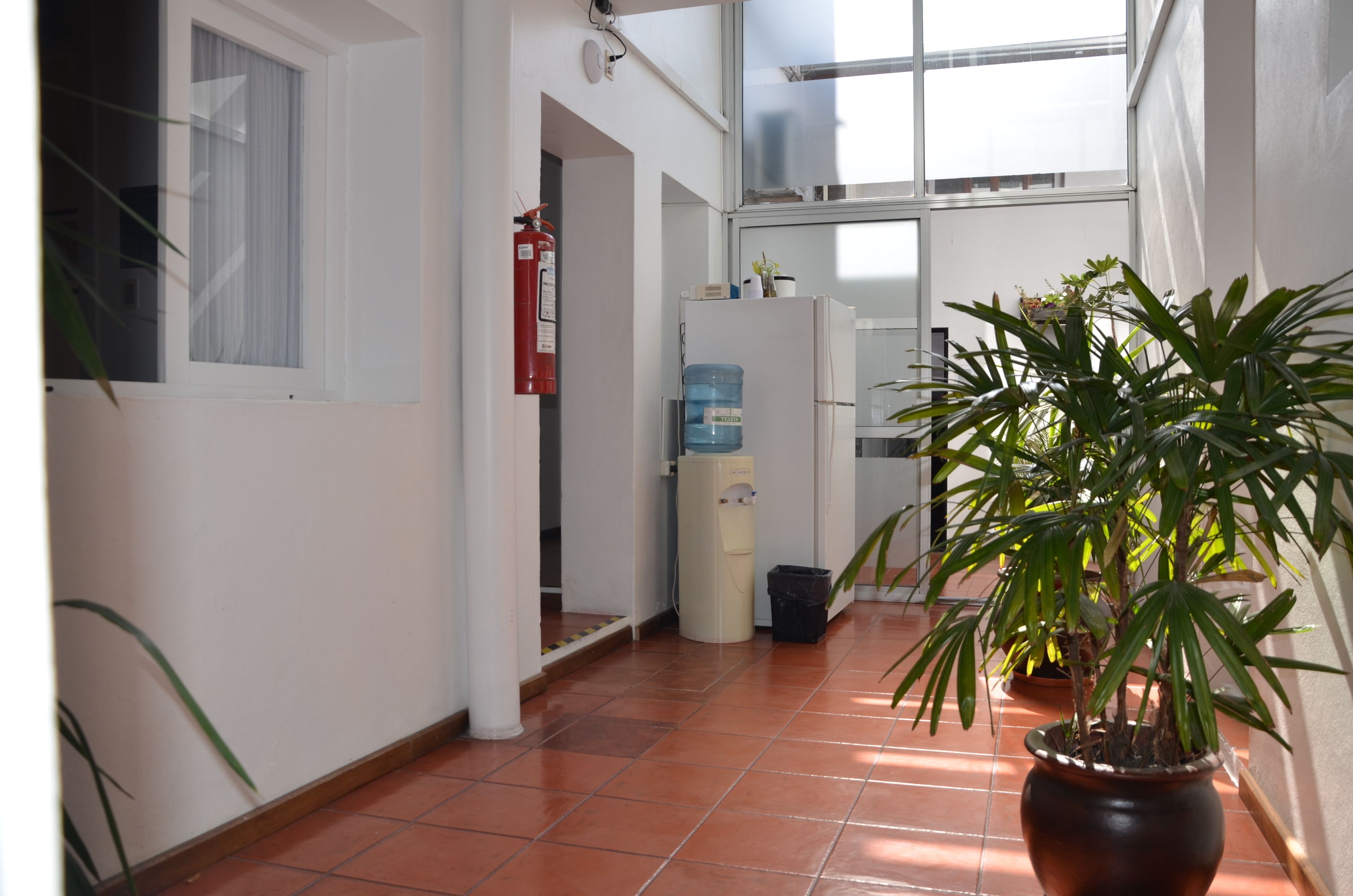 A corridor with a water dispenser, a fire extinguisher, and potted plants.