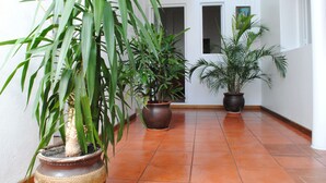 A corridor with tiled flooring, potted plants, and white walls. - Hotel Romi (Colonia del Sacramento)