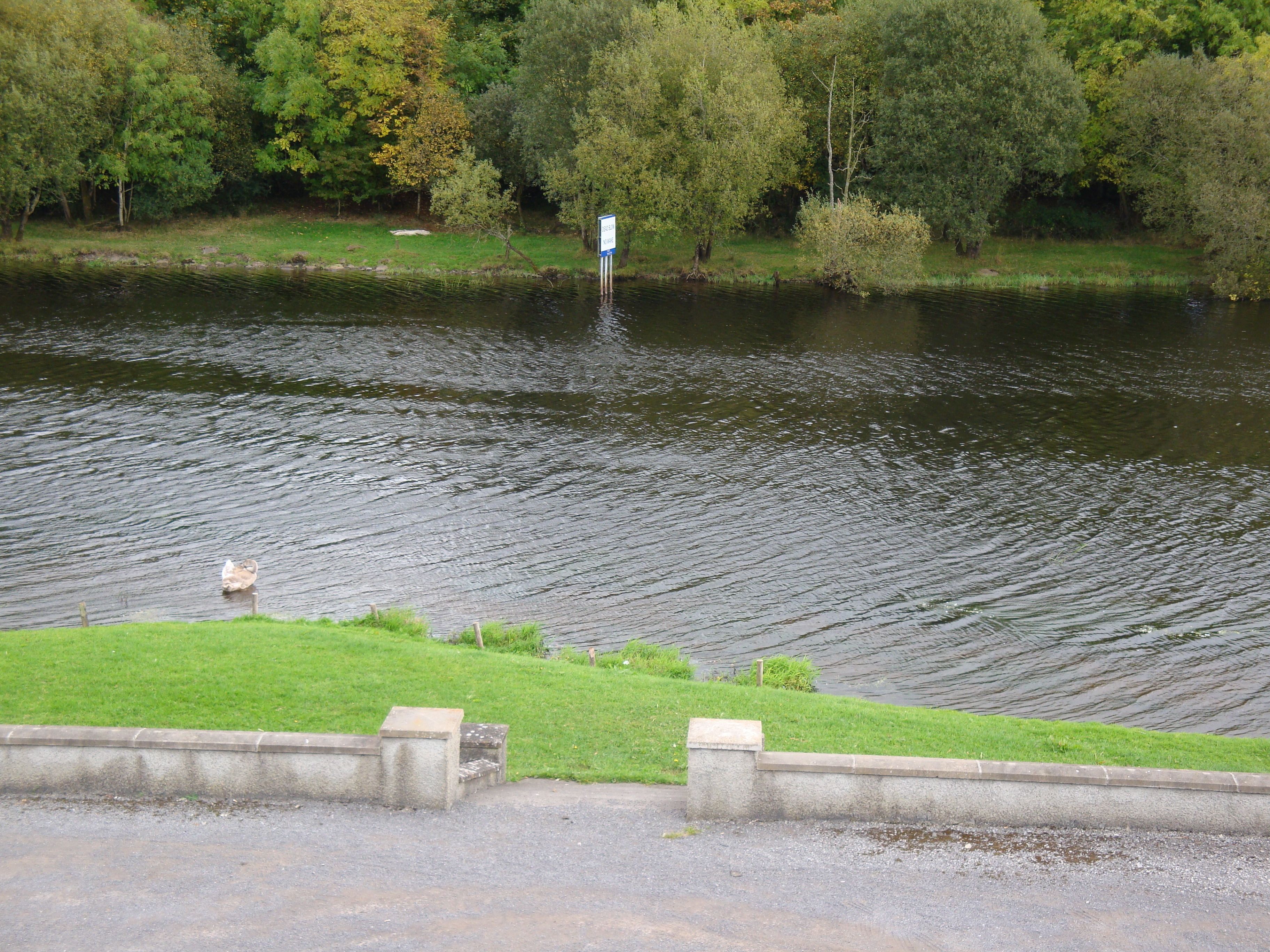 Ein Fluss mit einer grasbewachsenen Uferböschung und einer Betonmauer.