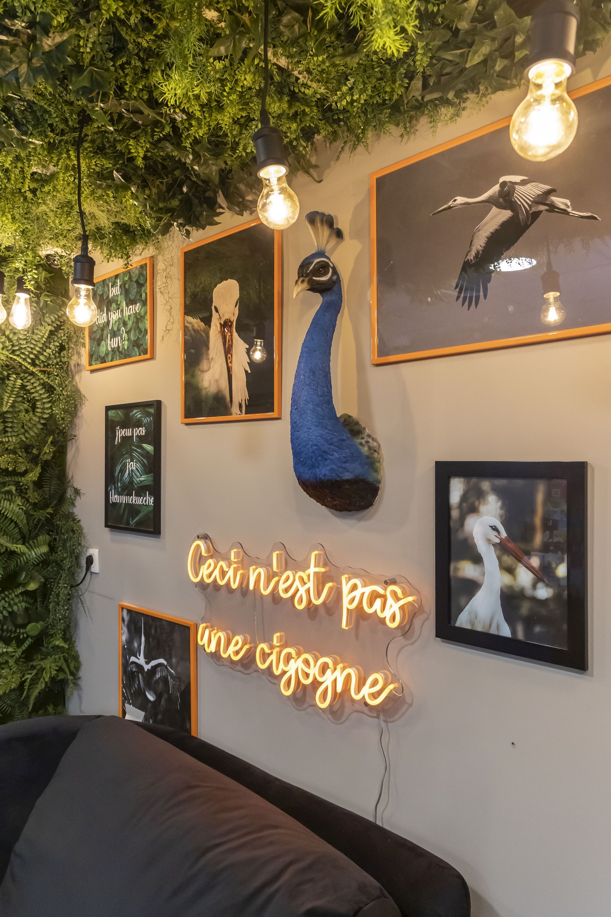 A wall with framed pictures of birds, a neon sign, and hanging light bulbs.