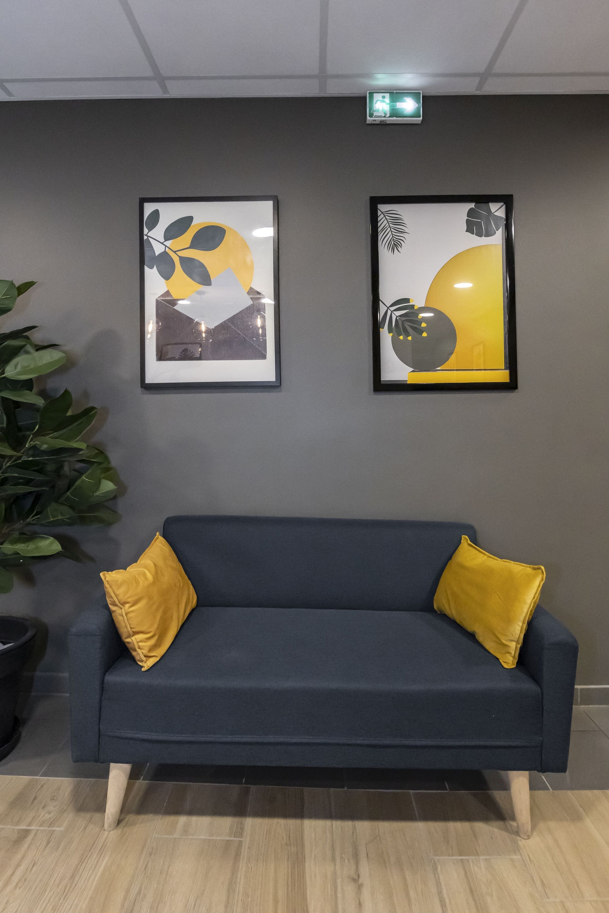 Een donkerblauwe bank met twee gele kussens, twee ingelijste abstracte schilderijen aan de muur, en een potplant aan de linkerkant.