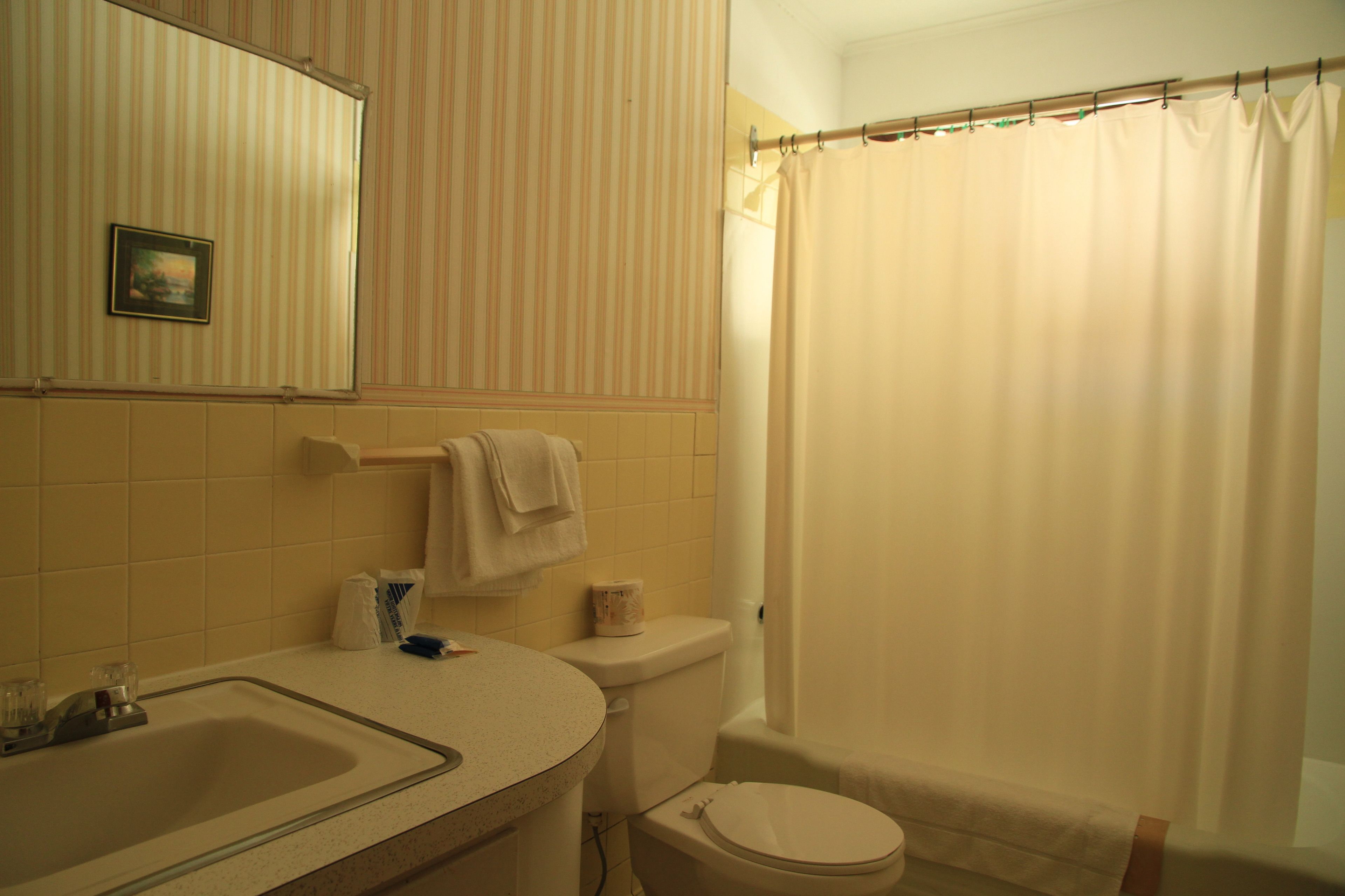 A bathroom with a sink, toilet, and shower curtain.