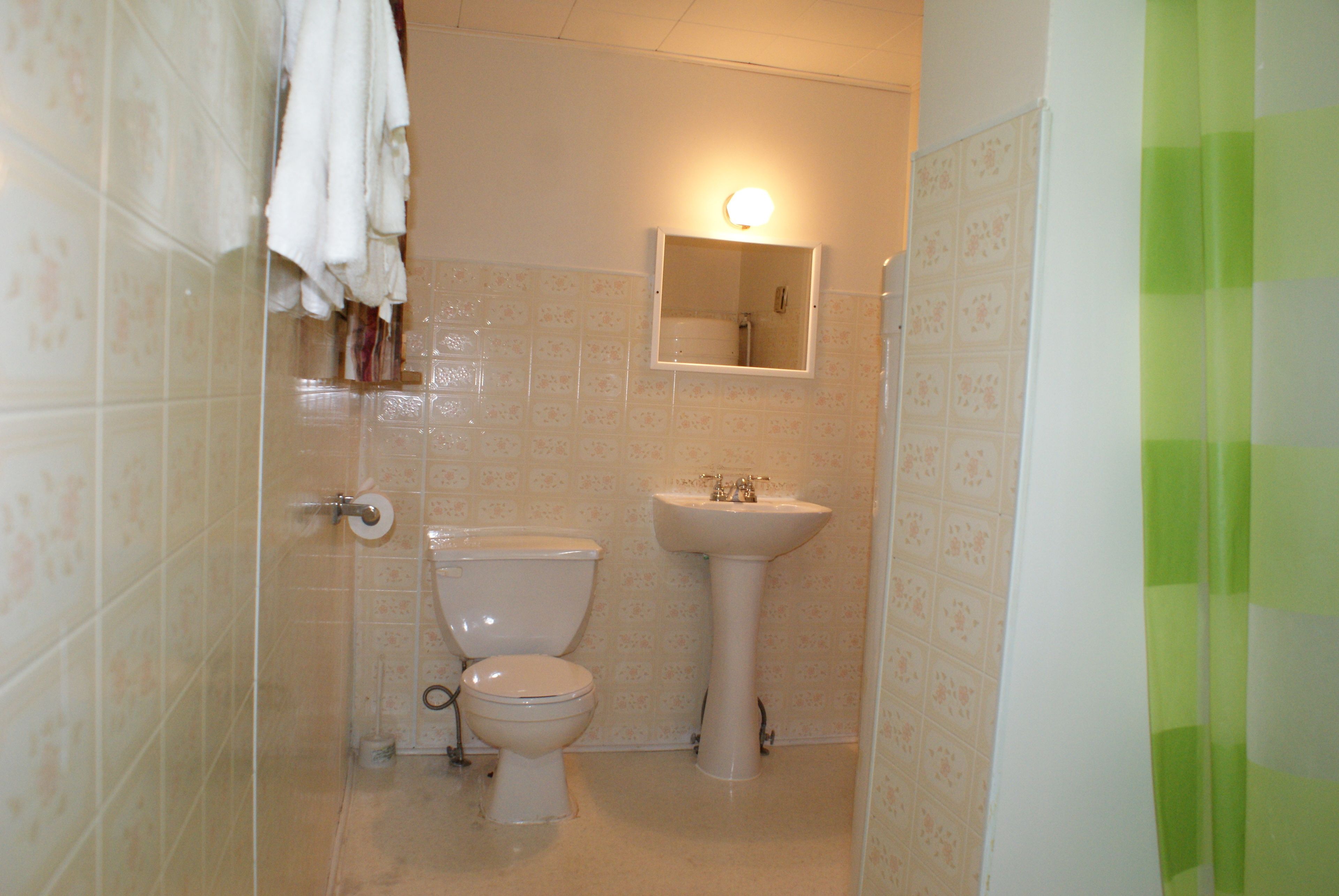 A bathroom with a toilet, sink, and a mirror with a light above it.