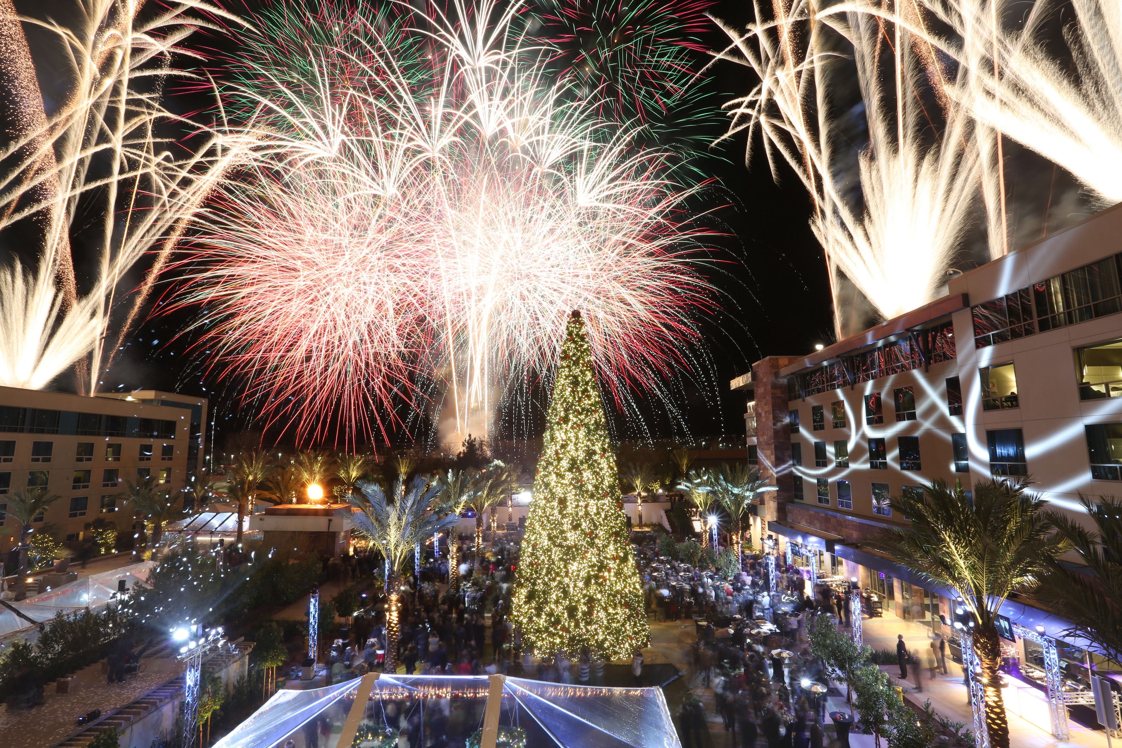 Un espace extérieur festif, agrémenté d’un grand sapin de Noël, entouré de palmiers et illuminé de guirlandes lumineuses.