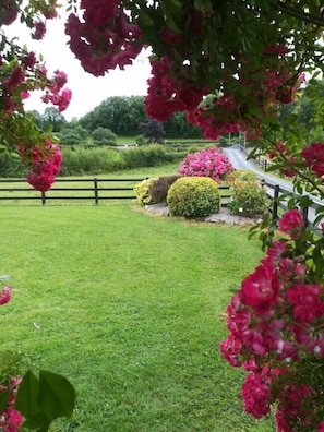 A well-maintained lawn with neatly trimmed bushes and a wooden fence. - Clooneen House (Killeshandra)