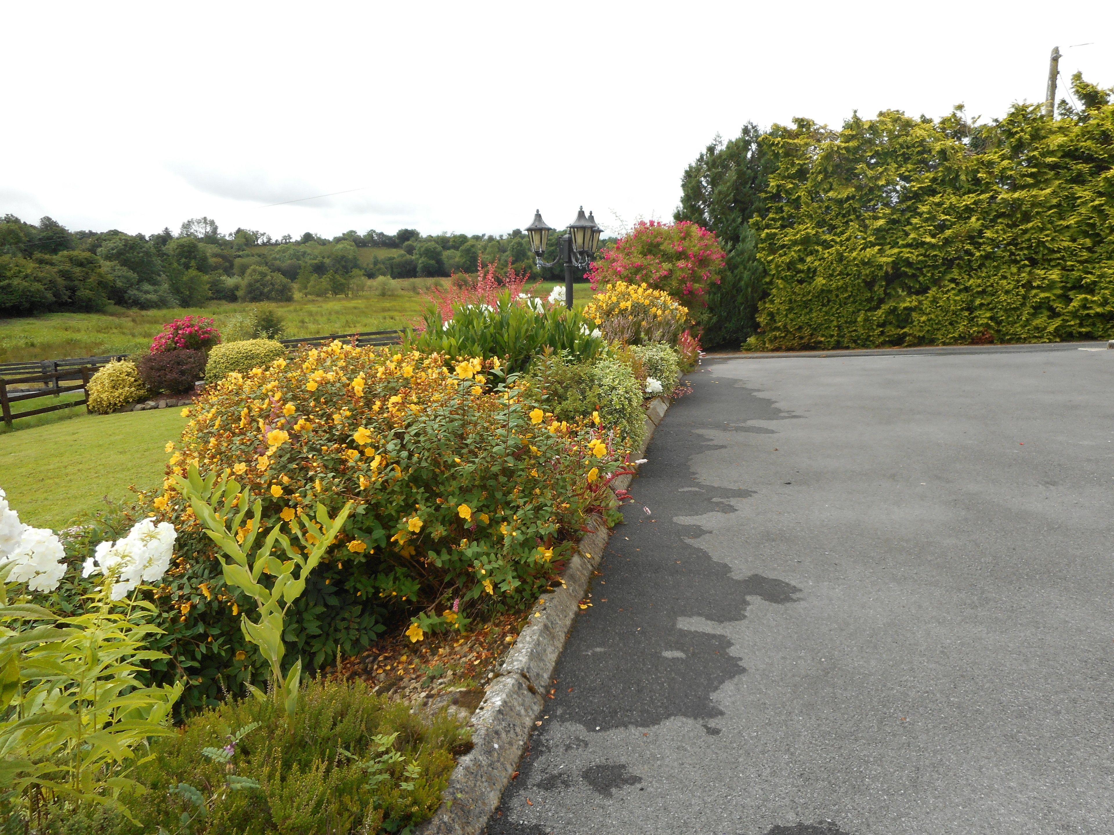 A paved road with a flower bed on one side and a hedge on the other.