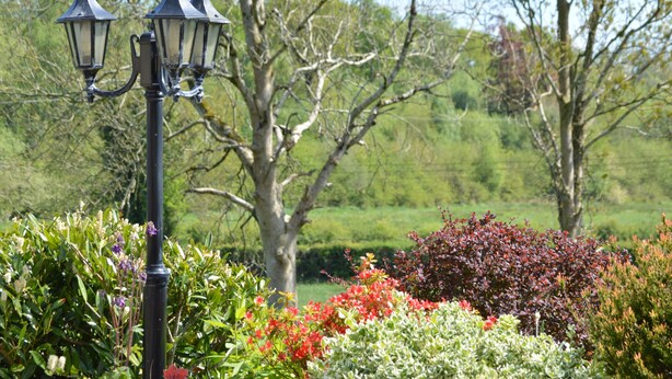 A garden with a black lamp post and flowering plants.