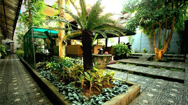 A courtyard with a palm tree, potted plants, and a glass greenhouse structure. - Jesens Inn 2 (Kuta)