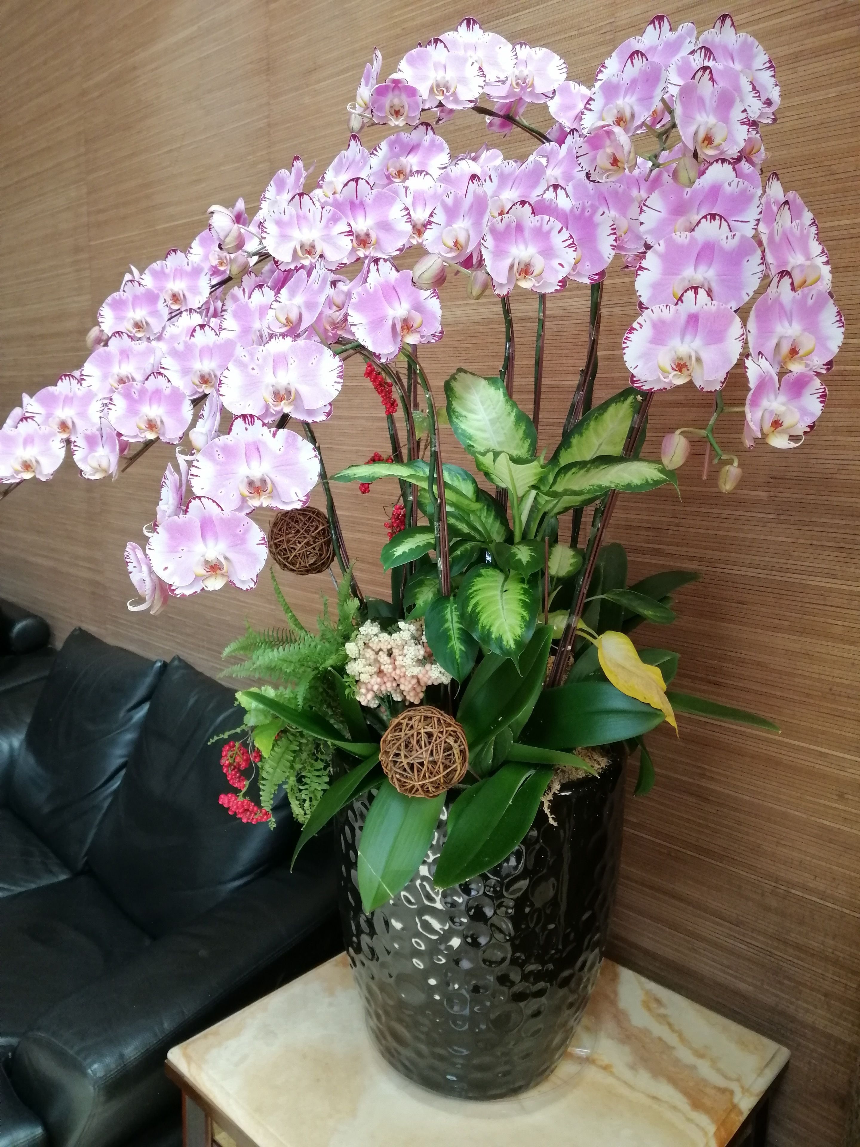 住宿內部