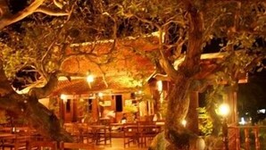An outdoor dining area with wooden tables and chairs, surrounded by trees and a thatched-roof structure. - Harry's Bungalows & Restaurant (Koh Samui)
